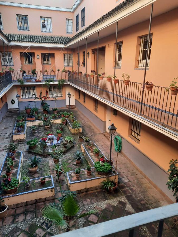 Cozy In Севиля Екстериор снимка