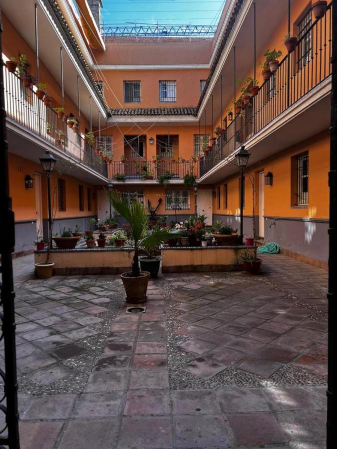 Cozy In Севиля Екстериор снимка